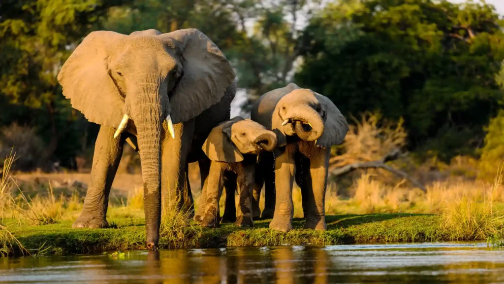 tourisme benin